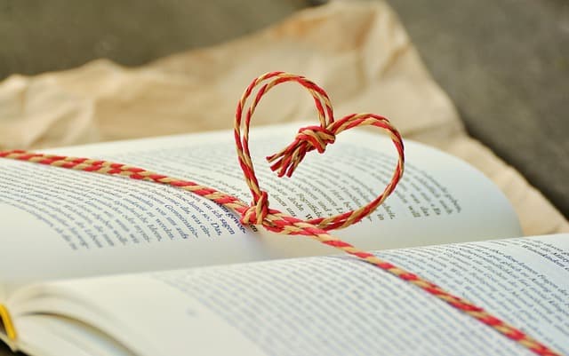 Come scegliere il miglior software di grafica per le tue esigenze